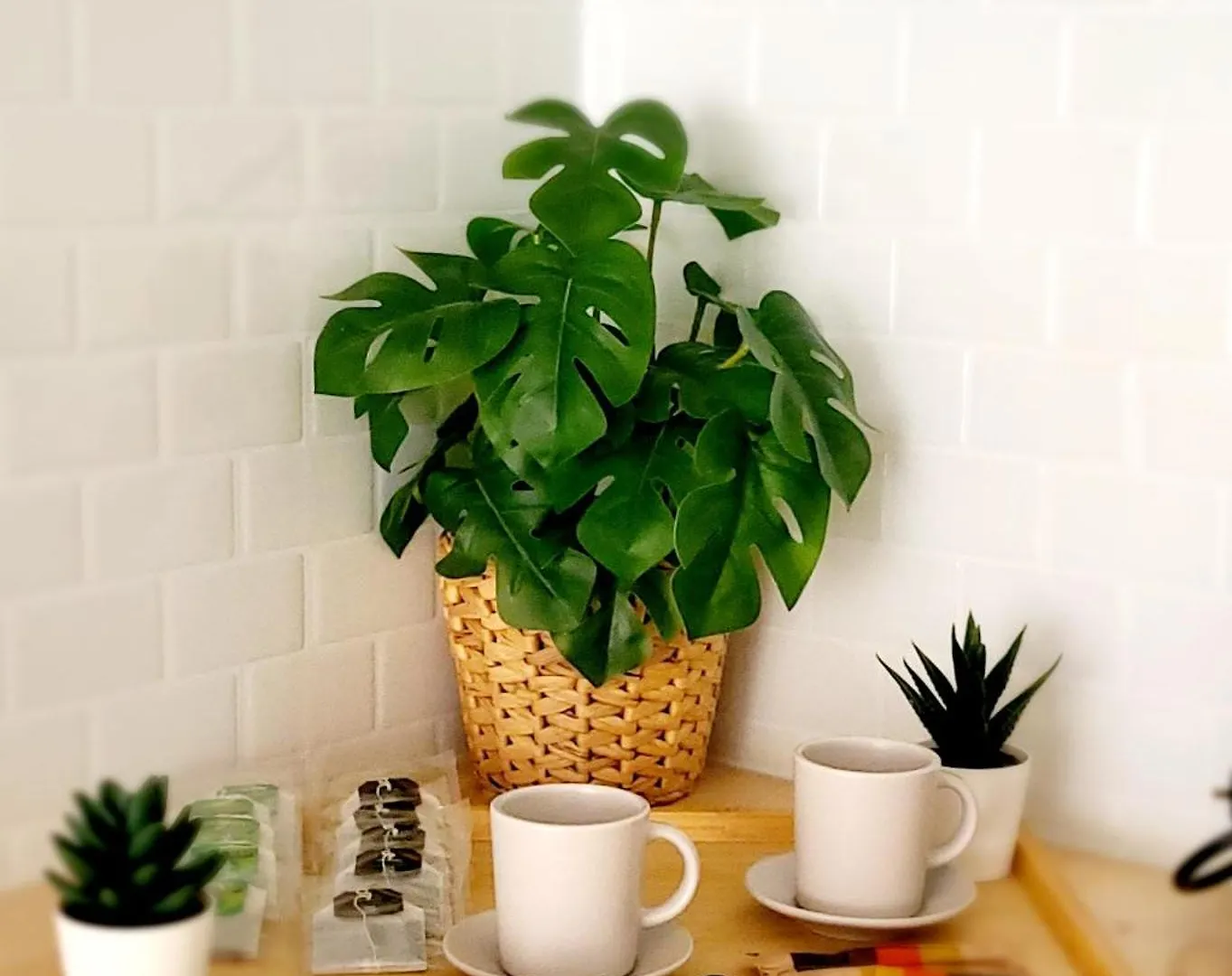 Modern Apartament Al Costat Del Parc De La Devesa 赫罗纳 0*,  西班牙